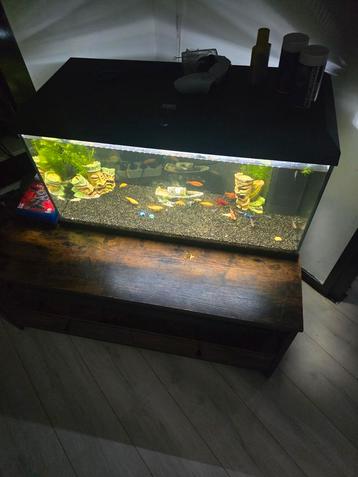Warm water aquarium.  beschikbaar voor biedingen