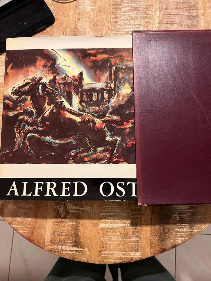 Alfred Ost, monografie - De Vroente, Boeken, Kunst en Cultuur | Beeldend, Zo goed als nieuw, Schilder- en Tekenkunst, Ophalen of Verzenden