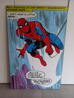 canvas print hardboard SPIDERMAN (retro), Ophalen of Verzenden, 75 cm of meer, 50 tot 75 cm, Print