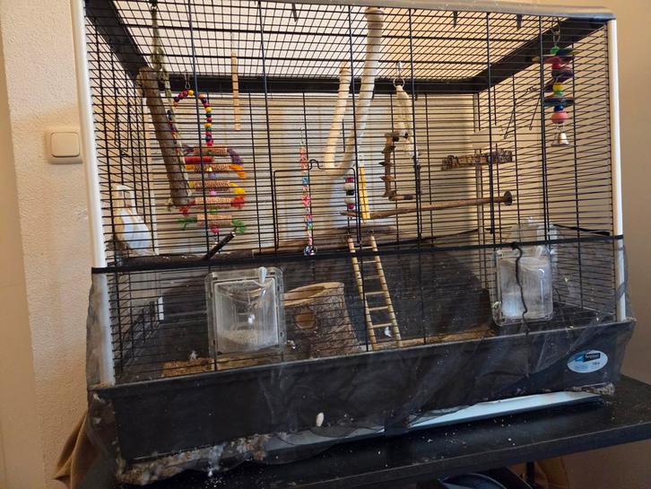 Ruime vogelkooi, Dieren en Toebehoren, Vogels | Hokken en Kooien, Vogelkooi, Metaal, Ophalen