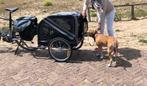 Honden fietskar, Dieren en Toebehoren, Honden-accessoires, Ophalen of Verzenden, Gebruikt
