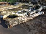 haardhout, Tuin en Terras, Haardhout, 6 m³ of meer, Ophalen, Berkenhout, Stammen