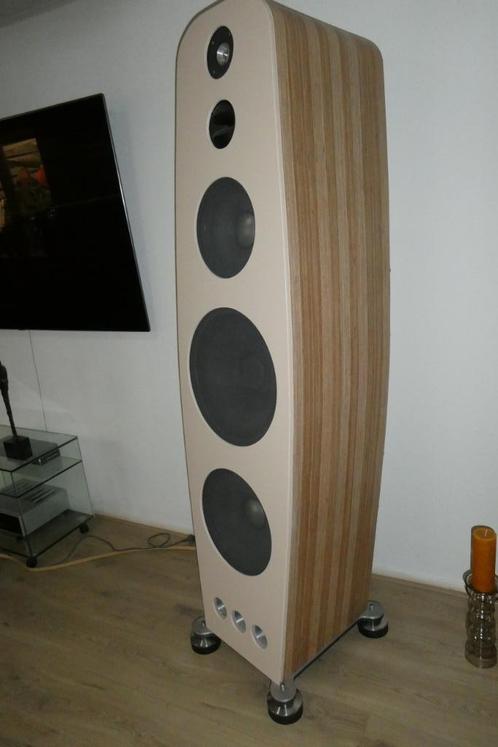 fostex laboratory speakers, Audio, Tv en Foto, Luidsprekers, Zo goed als nieuw, Front, Rear of Stereo speakers, 120 watt of meer
