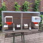 Broedkooi, Ophalen, Zo goed als nieuw, Hout, Broedkooi of Kweekkooi