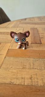 Littlest pet shop diertje chihuahua, Ophalen of Verzenden