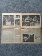 Chris Hillman:  The Byrds en Manassas a3 formaat, Ophalen of Verzenden, Overige landen