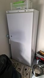 jumbo vriezer, Refurbished, 160 cm of meer, Vrijstaand, 90 cm of meer