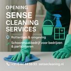 Schoonmaak, Overige vormen