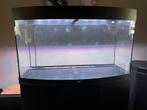 Juwel Vision 180 met veel toebehoren, Dieren en Toebehoren, Vissen | Aquaria en Toebehoren, Ophalen, Gebruikt, Leeg aquarium