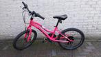 Meisjes fiets mountain bike, Ophalen, 22 inch, Zo goed als nieuw, Swan lady