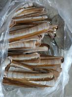 Mooie schelpen om mee te knutselen., Hobby en Vrije tijd, Ophalen, Zo goed als nieuw, Materiaal