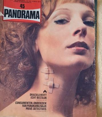 panorama 1971 beschikbaar voor biedingen