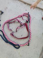 Diverse paardrij attributen halterset, cap en zeepje, Dieren en Toebehoren, Ophalen of Verzenden, Gebruikt