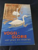 Plaatjes album KG koffie en thee kampen, Antiek en Kunst, Antiek | Boeken en Bijbels, Ophalen of Verzenden