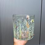 Windlicht-vaas-pot €16,50/10,-, Ophalen, Nieuw, Overige materialen, Minder dan 25 cm