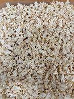 Schedel/ wervels, Ophalen of Verzenden, Nieuw, Vogel, Schedel