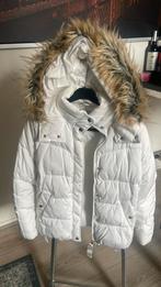 Dames winterjas, Kleding | Dames, Jassen | Winter, Ophalen of Verzenden, Zo goed als nieuw