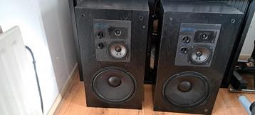 Divine Audio SA12.3 Speakers - 12" 3-weg systeem beschikbaar voor biedingen