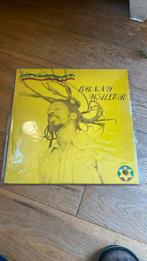Lp bunny wailer, rock n groove, Ophalen of Verzenden, 1960 tot 1980, Zo goed als nieuw, Overige formaten