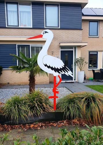 Ooievaar te huur | Jongen Meisje beschikbaar voor biedingen