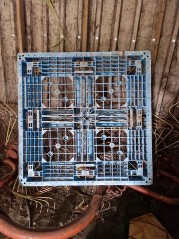 Plastic pallet beschikbaar voor biedingen
