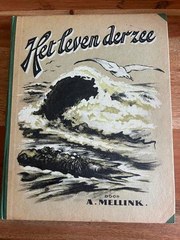 A. Mellink - Het leven der zee - Het Klaverblad te Haarlem beschikbaar voor biedingen
