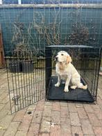 Hondenbench, Dieren en Toebehoren, Ophalen, Zo goed als nieuw