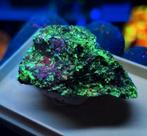 WILLEMIET, TSJECHIË! (= UV), Ophalen of Verzenden, Mineraal