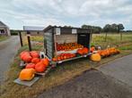 Pompoenen, Ophalen, Nieuw