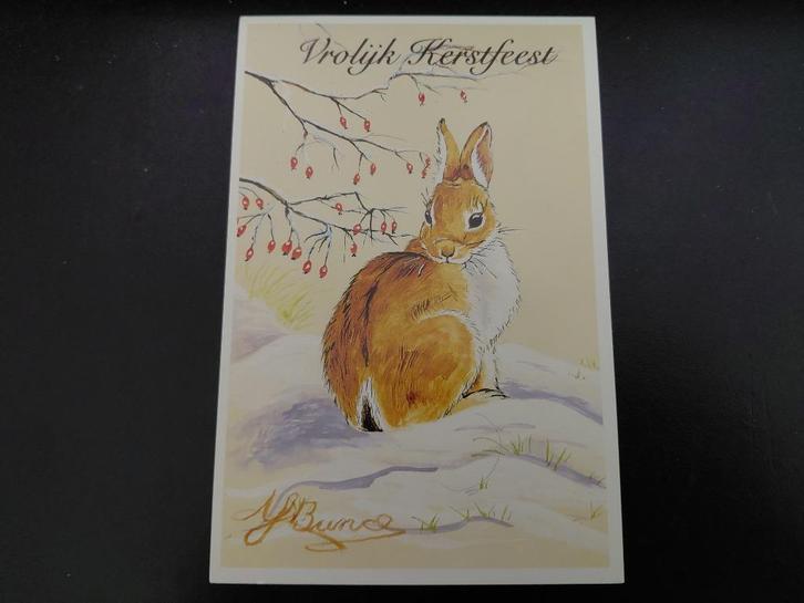 Konijn in de sneeuw, vrolijk Kerstfeest, J. Bunce, ongelopen, Verzamelen, Ansichtkaarten | Dieren, Ongelopen, 1960 tot 1980, Knaagdier
