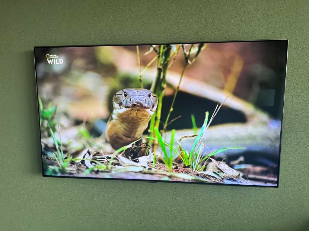 Samsung QLED TV - , perfecte staat, Ophalen, Samsung, 100 cm of meer, Gebruikt