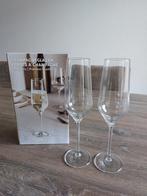 2 Champagneglazen van Gusta., Nieuw, Glas, Overige stijlen, Glas of Glazen