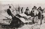 Eijerland  Texel, Ophalen of Verzenden, Voor 1940, Zo goed als nieuw, Foto