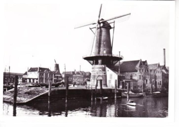 ROTTERDAM,- Molen aan de Voor en Achterhaven Delfshaven.27-1, Verzamelen, Ansichtkaarten | Nederland, Ongelopen, Zuid-Holland