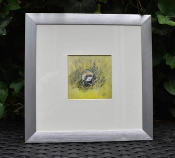 Walty Dudok van Heel: aquarel bunzing (1) beschikbaar voor biedingen