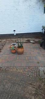 Gekleurde klinkers / waaltjes, Tuin en Terras, Tegels en Klinkers, Ophalen, Overige materialen, Gebruikt, Klinkers