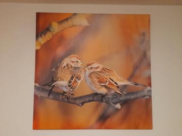 American Tree Sparrow, couple canvas beschikbaar voor biedingen