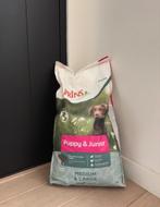 Prins Procare Puppy & Junior Hondenbrokken, Dieren en Toebehoren, Dierenvoeding, Ophalen, Hond