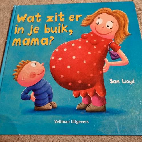 S. Lloyd - Wat zit er in je buik, mama?, Boeken, Kinderboeken | Kleuters, Zo goed als nieuw, Ophalen of Verzenden