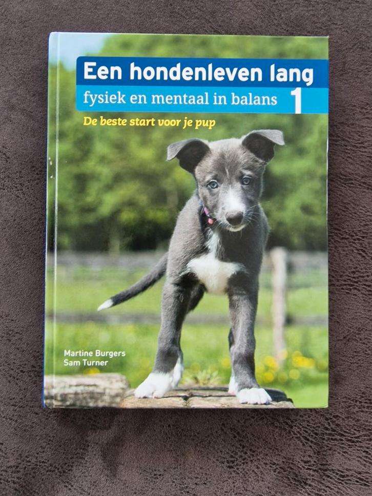 Een hondenleven lang - fysiek en mentaal in balans, Boeken, Dieren en Huisdieren, Zo goed als nieuw, Honden, Ophalen of Verzenden
