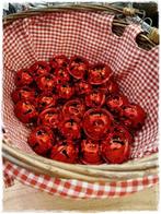 bel roodglanzend 5 x 4 cm. voor decoratie, Venlo, Nieuw, Clayre en eef, Ophalen of Verzenden