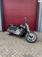 Harley Davidson VRSCF V-Rod Muscle 1HD ABS Black Edition, Motoren, Motoren | Harley-Davidson, Chopper, Bedrijf, Meer dan 35 kW