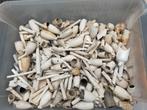 Oude Pijpenkoppen en Stelen - Archeologische Vondsten, Antiek en Kunst, Ophalen of Verzenden