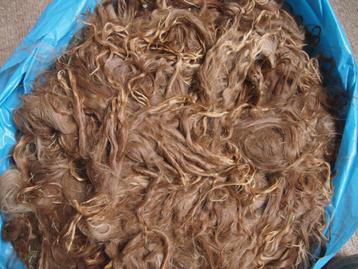Alpaca suri wol, fawn/bruin beschikbaar voor biedingen