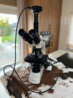 Optika B 500TDK trinocular dark-field microscope, Ophalen of Verzenden, Zo goed als nieuw, 1000x of meer