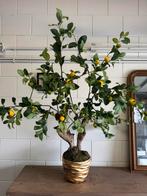 Citroen boom zijde, Huis en Inrichting, Woonaccessoires | Kunstplanten en Kunstbloemen, Ophalen of Verzenden, Nieuw