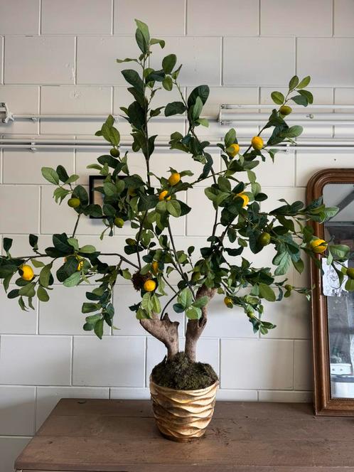 Citroen boom zijde, Huis en Inrichting, Woonaccessoires | Kunstplanten en Kunstbloemen, Nieuw, Ophalen of Verzenden