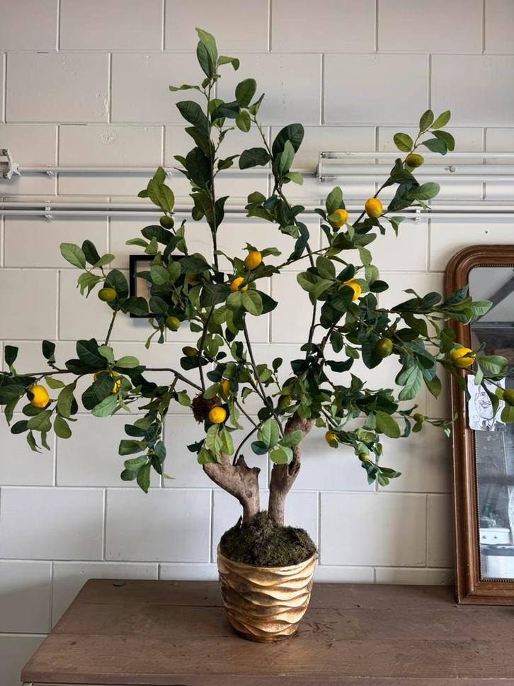 Citroen boom zijde, Huis en Inrichting, Woonaccessoires | Kunstplanten en Kunstbloemen, Nieuw, Ophalen of Verzenden