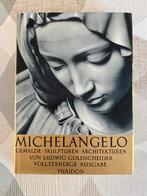 Michelangelo Goldscheider, Gelezen, Goldscheider, Ophalen of Verzenden, Schilder- en Tekenkunst