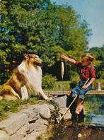 11 Mooie oude kinderkaarten met hond, 1960 tot 1980, Ongelopen, Kinderen, Verzenden